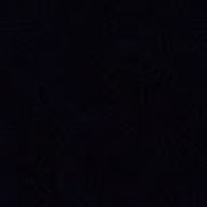 Meet your Posher, Reagan